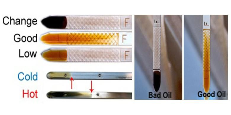 Warna Oli Dipstick Kuning: Kapan Wajib Ganti?
